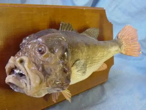 Жестокий музей