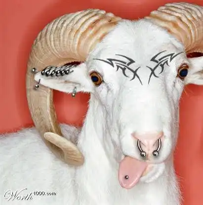 Забавные животные-2.