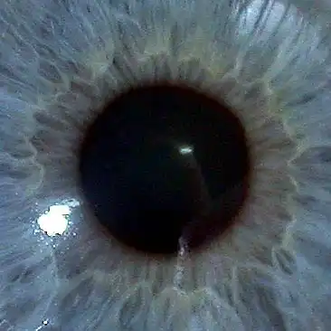 В мои глаза смотри (с) ^_^