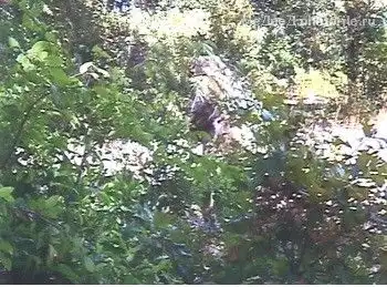 И снова снежный человек:)))