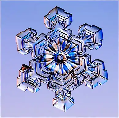 Снежинки под микроскопом [красотище]