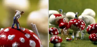 Жизнь в стране Лилипутов :)