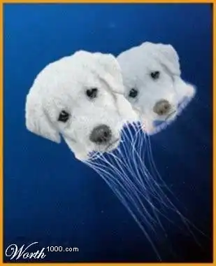 Земля и вода (88 фото)