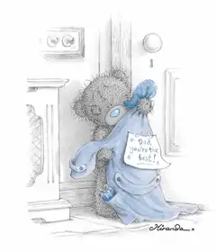 Мои любимые мишки Teddy ^_^