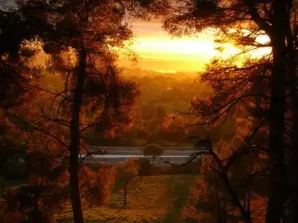 Опять о природе.