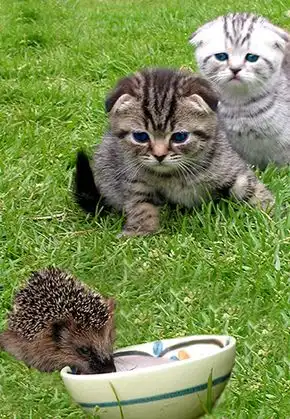 Эй, ты че делаешь??:)