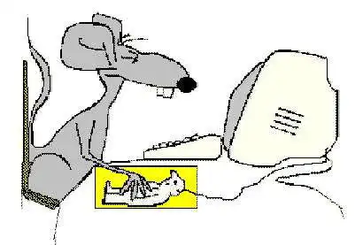 Ишо немного смешного.