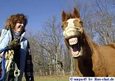 Животные улыбки ;)