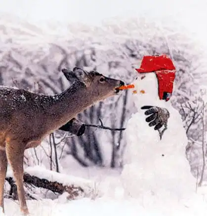 В продолжении новогодней тематики.. )