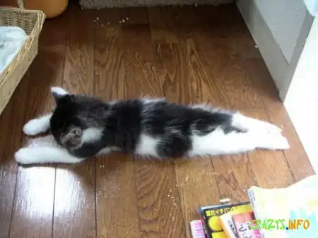 Увеличить картинку