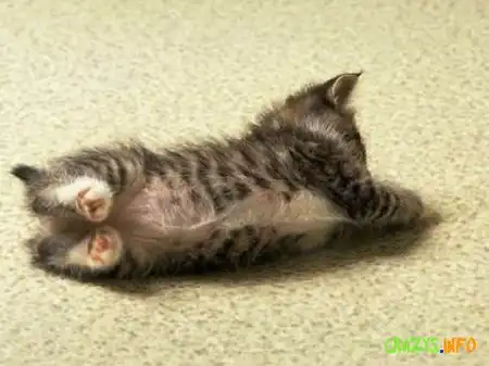 Увеличить картинку