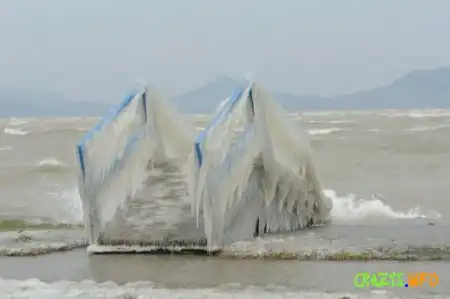 Увеличить картинку