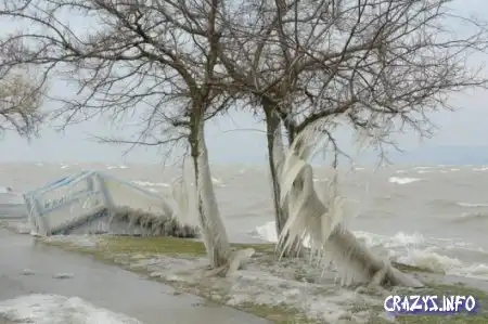 Увеличить картинку