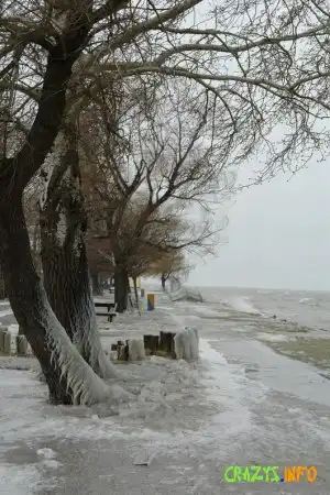 Увеличить картинку