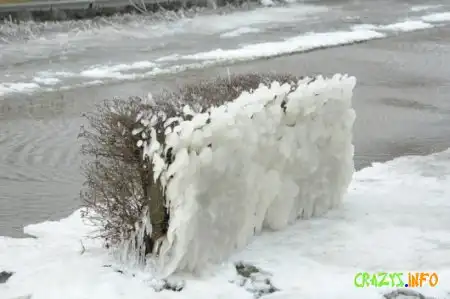 Увеличить картинку