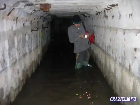 Увеличить картинку