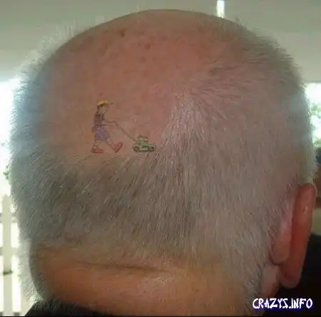 Увеличить картинку