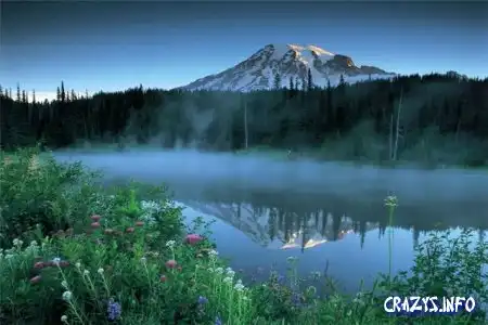 Увеличить картинку