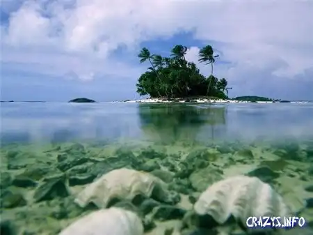 Увеличить картинку