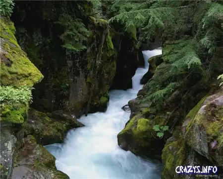 Увеличить картинку