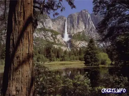 Увеличить картинку