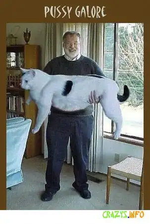 Увеличить картинку