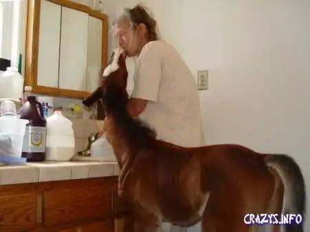 Увеличить картинку