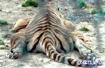 Конец рабочей недели!