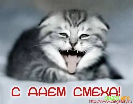 Увеличить картинку