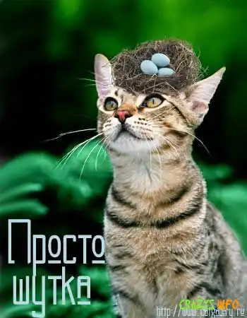 Увеличить картинку