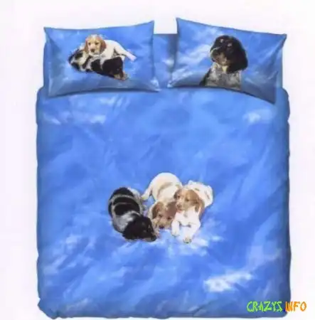 Увеличить картинку