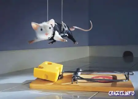 Увеличить картинку