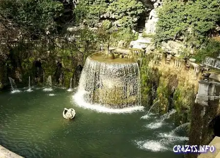 Увеличить картинку