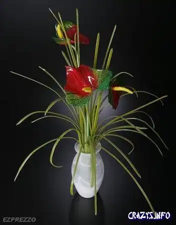 Увеличить картинку