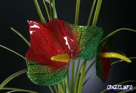 Увеличить картинку