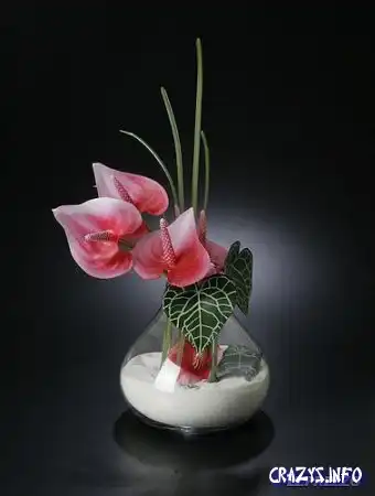 Увеличить картинку