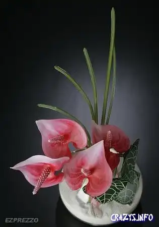 Увеличить картинку