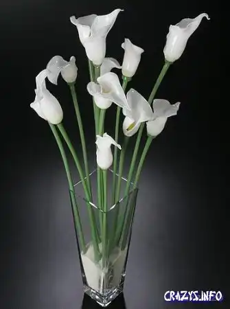 Увеличить картинку