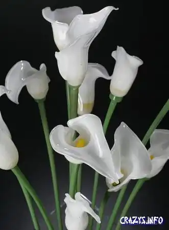 Увеличить картинку