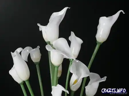 Увеличить картинку