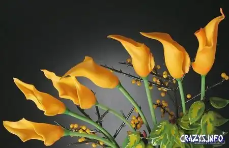 Увеличить картинку