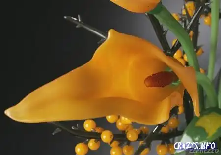 Увеличить картинку