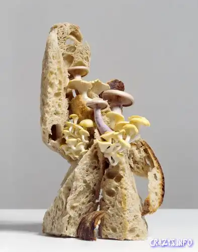 Красивая еда