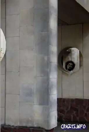 Увеличить картинку