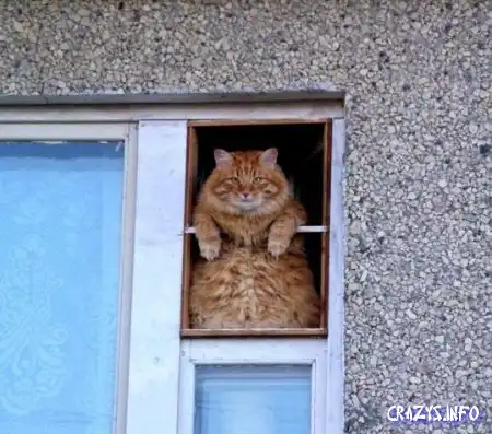 Увеличить картинку