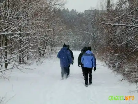 Увеличить картинку