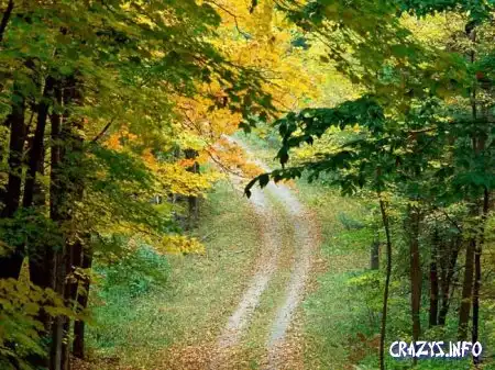 Увеличить картинку