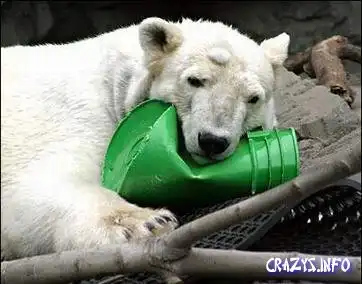 Веселая подборка