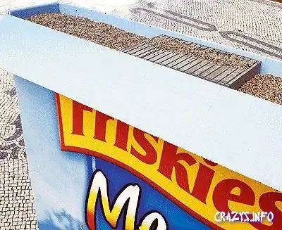 Реклама-кормушка