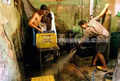 Как разливают Pepsi